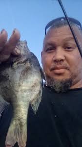 Bream Fishing Fanatics