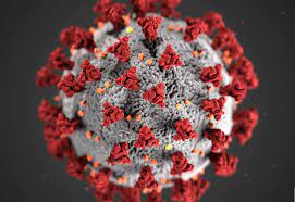Four Further Cases Of Covid 19 Coronavirus Recorded In The Nhs Highland Health Board Area