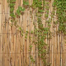 Backyard X Scapes 6 Ft H X 16 Ft W Reed Privacy Screen Wayfair Garden Fence Panels Bamboo Fence Outdoor Screen Panels