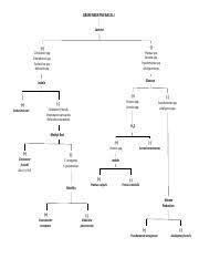 unknown flowchart unknown 22 gram stain gram negative