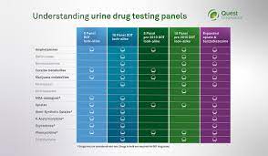 Who must undergo testing varies by state. A Closer Look Drug Testing Panels Quest Diagnostics