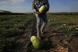 California's absurd water policy must change