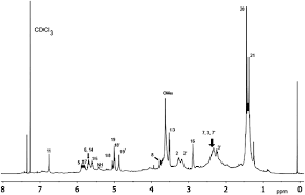 The Value Of Universally Available Raw Nmr Data For