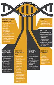 Career Opportunities Bachelor Of Biomedical Science Biomedical Science Biomedical Science Degree