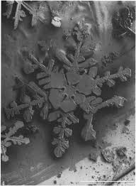 Carbon dioxide crystals: An examination of their size, shape, and scattering properties at 37 GHz and comparisons with water ice