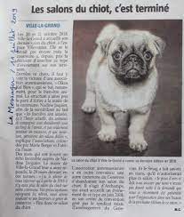 2018 à 15:46 | mis à jour à 18:39. Les Salons Du Chiot C Est Termine Crac Europe