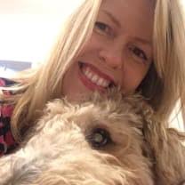 Dog Day Care Coolangatta QLD