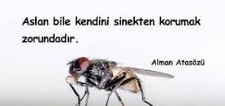 Eguzelsozler Net Guzel Sozler Anlamli Sozler Ask Sozleri 2020 Guzel Soz Ayrilik Sozleri Ask Sozleri