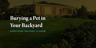 Bury the dog deep in the ground. Burying A Pet In Your Backyard Everything You Need To Know