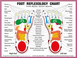 Download Reflexology Foot Chart Pdf