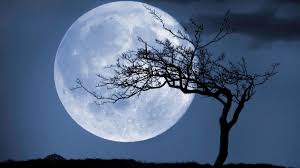 Heart, aorta, blood pressure, blood circulation. Cold Moon Night Last Highest Full Moon Of 2020 Brights Up Skies Last News India Tv