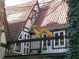 Marderschaden Am Dach Ihr Dachdecker Aus Spiesen Elversberg H W Dach