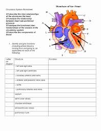 Image result for Cardiovascular Worksheets