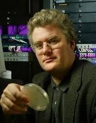 Homme Wytzes Hellinga