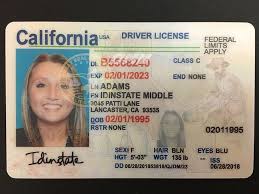 Where To Order A Fake Id Idinstate Product List Best Fake Ids Buy Fake Id Fake Id Card In 2020 Driving License Drivers License Drivers License California