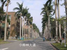 For faster navigation, this iframe is preloading the wikiwand page for 臺灣大專院校排名. å°ç£å¤§å­¸ä»‹ç´¹ Youtube