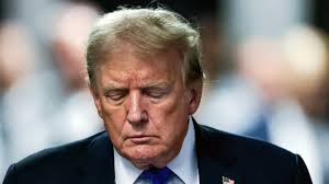 Tad Taylor 🟧 (@net0man)