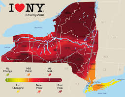 Explore the best trails in lake george, new york on traillink. Itineraries To Help You Plan Your Trip To The Lake George Region Lake George Regional Chamber Of Commerce Cvb