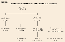 Image result for Microcytic Anemia