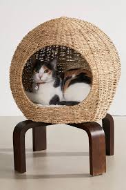 Cat Pod In 2021 Cat Pod Cat Furniture Cat Room