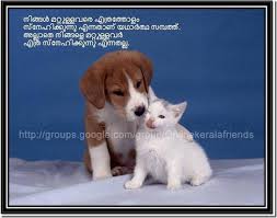 Dog and cat friendship quotes. Friendship Quotes Funny Malayalam Cute Puppies Cute Cats And Dogs Kitten Pictures