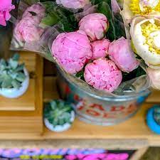 Check spelling or type a new query. Trader Joe S Peonies Are Back In Stores But Only For A Limited Time Eatingwell