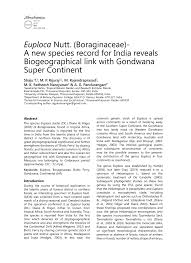 Image result for Euploca katangensis