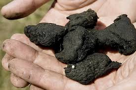 As a result, many of michigan's wastewater plants convert solid waste. Human Waste As Sustainable Aricultural Fertilizer Dunno What To Name This Yet