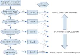 17 Precise Chart For Grading