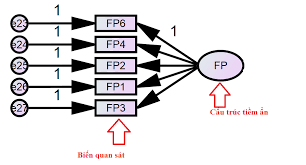 Sự khác biệt cấu trúc tiềm ẩn và biến quan sát - Hỗ Trợ SPSS - Nhóm MBA  Bách Khoa