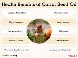 And other benefits of avocado oil include protecting your hair from uv radiation and aiding in hair growth. Carrot Seed Oil Benefits And Its Side Effects Lybrate