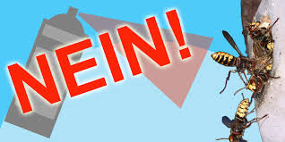 Aber man bemerkt sie manchmal erst, wenn sie ihre volle. Keine Gifte Gegen Wespen Verwenden Bund Naturschutz Kreisgruppe Munchen