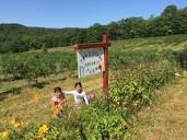 Two Sisters Organic Farm athttps://twosistersorganicfarm.wordpress ...