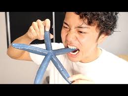 Sand sifting starfish burrowing in