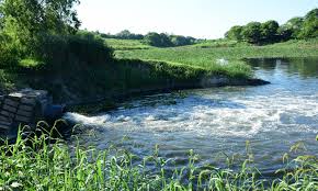 La Justicia provincial interviene en la denuncia de contaminación ambiental  en el riacho de Oro - Diario La Mañana