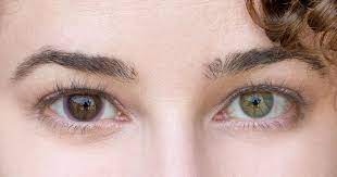 I've been ordering coloured contacts since 2019…. Acuvue Oasys Transitions Contact Lenses That Get Dark In The Sun Cnet