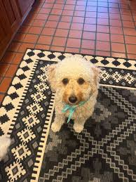 Today I'm 9 years old can I have one like Happy birthday Amy 🎂