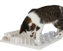 Perfect for food, treats, yogurt, or peanut butter. 7 Cat Food Puzzles That Will Feed Your Cat S Hunter Spirit