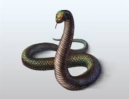Boa, common name for a variety of nonvenomous constricting snakes. How To Draw Animals Snakes And Their Patterns