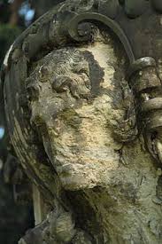 Acid Rain Wikipedia
