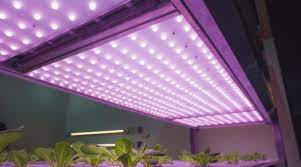 Maybe you would like to learn more about one of these? Best Led Grow Lights In 2020 Tips To Buy The Right One Foreign Policy