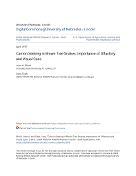 Carrion Seeking in Brown Tree Snakes: Importance of Olfactory and Visual  Cues