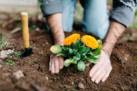The best way to improve soil texture is by adding organic material, such as compost or peat moss. Five Steps To Making Your Garden A Carbon Sink Jstor Daily