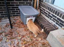 Learn How To Make The Cheapest And Easiest Cat Shelter For Winter Cat Shelters For Winter Cat Shelter Feral Cats