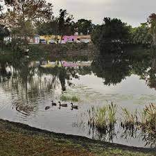 famous sinkhole orlando sentinel