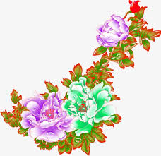 Peony Decorative Flower Hd Flower Clipart Flower Png Images Hd Flowers