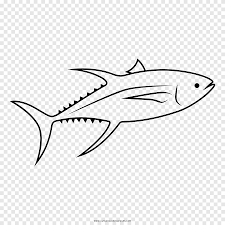 They're at the top of the food chain and eat a wide range of fish. Coloring Book Drawing Sushi Atlantic Bluefin Tuna Albacore Sushi Marine Mammal White Png Pngegg