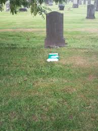 If you knew more i would gladly go over and take a pic of grave for you, & is there a headstone. Hamilton David Grave Memorial The Celtic Wiki