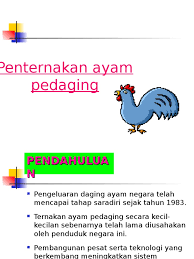 Sila rujuk buku panduan reban tertutup ayam pedaging. Ayam Pedaging Bab 2 New