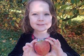 Looking for an excellent Mother's Day outing? Take your mum apple-picking  at Molewood Orchard, then bake her an apple cake! She'll be very happy. 😊  Come with friends and family, or come